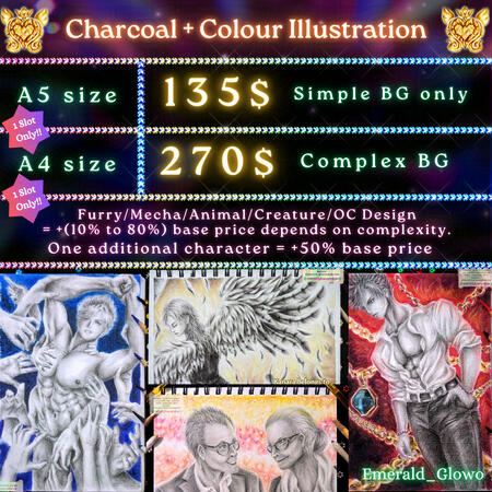 Pricing for Charcoal + Colour Illustrations